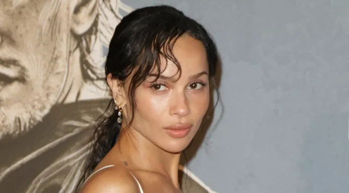 Zoe Kravitz fuels romance rumors with Harry Styles