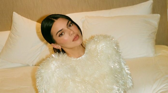 Kendall Jenner showed off her Christmas decor.