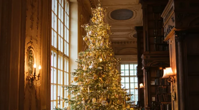 26 Ways to Celebrate New Year 2026