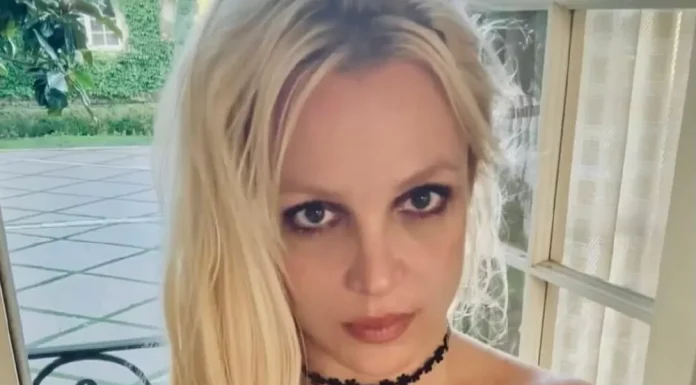 At it again: Britney Spears poses naked on the beach