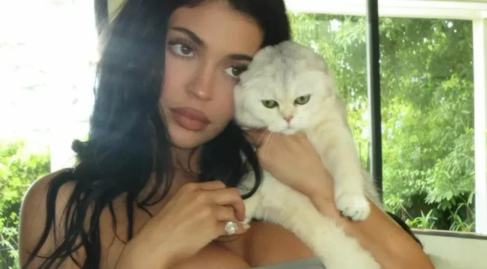 Kylie Jenner shared some racy photos from home.