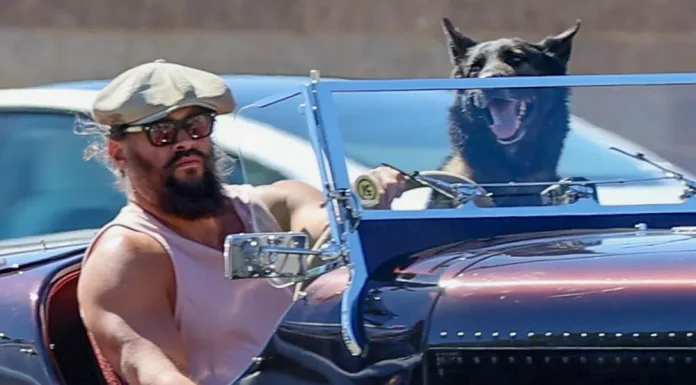 Jason Momoa with his dog Rama in a Bentley