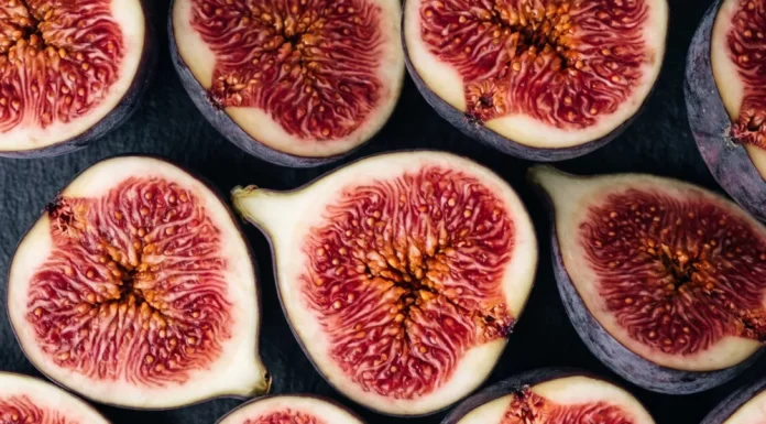 September’s Flavors: Moscow’s Most Vibrant Gastronomic Events of the Month